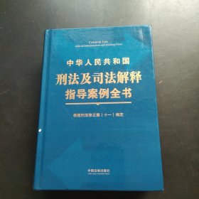 《中华人民共和国刑法及司法解释指导案例全书》根据刑法修正案（十一）编定（第三版）