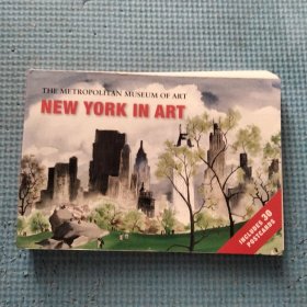NEW YORK IN ART[纽约艺术]