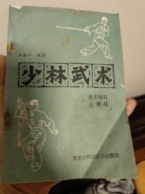 少林武术一连手短打达摩杖