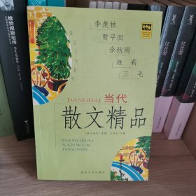 当代散文精品:散文十年精华