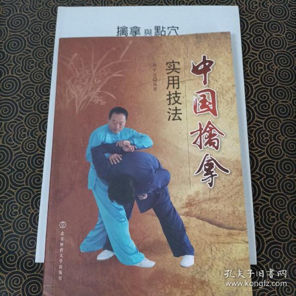 中国擒拿实用技法 擒拿与点穴 （和售）