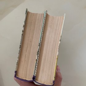 金瓶梅词话(上,下)