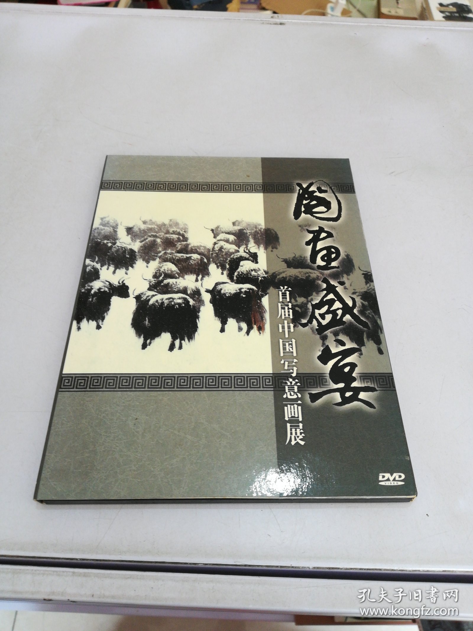 国画盛典 首届中国写意画展DVD【满30包邮】