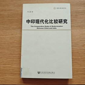 中印现代化比较研究