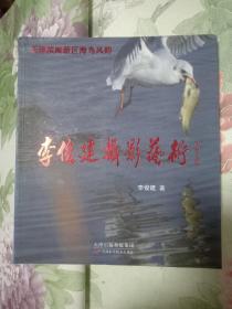 天津濱海新區(qū)海鳥風韻 李俊建攝影藝術
