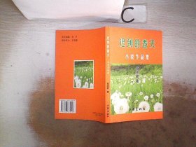 迟到的春天 小说作品集