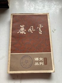 暴风雪：译文丛刊（第一辑）