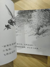 信谊绘本世界精选图画书：逃家小兔