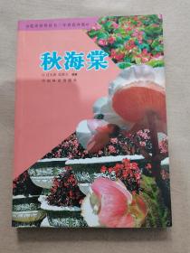 秋海棠