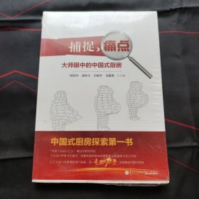 捕捉痛点——大师眼中的中国式厨房