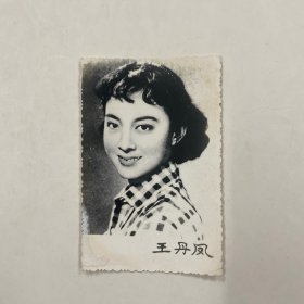 黑白照片 王丹凤