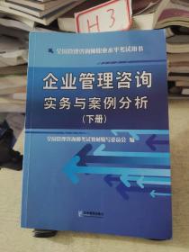 企业管理咨询实务与案例分析（下册）