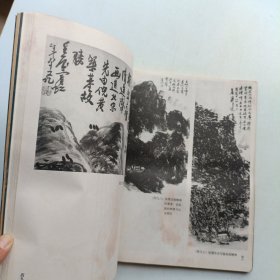 黄宾虹山水画技法解析 黄宾虹笔墨探微 两本合售 (实拍)