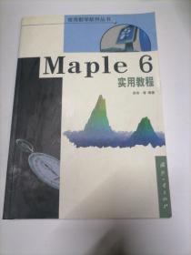 Maple 6实用教程