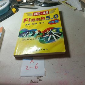 Flash 5.0中文版:基础 实例 技巧
