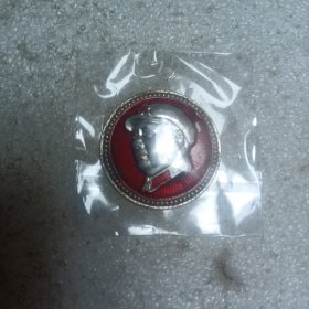 像章 15