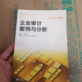 企业审计案例与分析