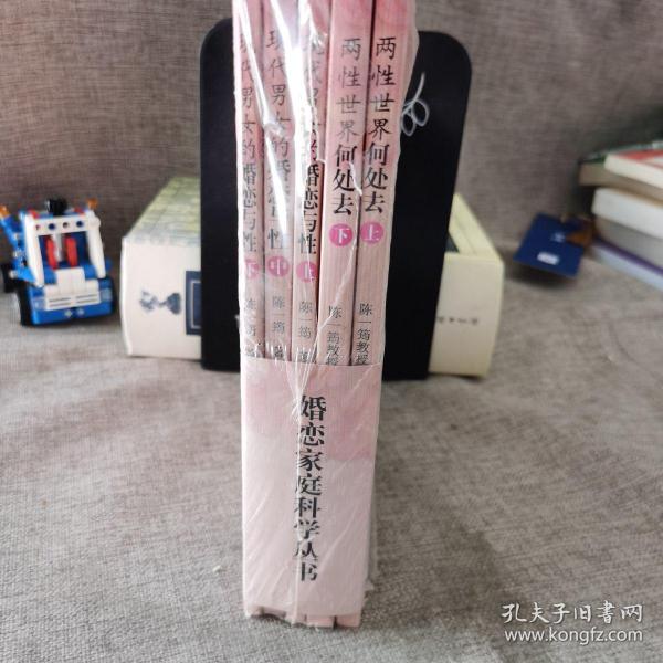 婚恋家庭科学丛书（全5册）现代男女的婚恋与性上中下 两性世界何处去上下