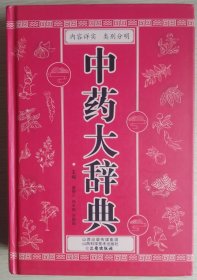 中药大辞典