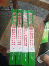 新编财务会计内部控制规范与财务审计标准及财务工作执行流程管理制度实务全书（全四册）