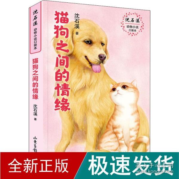 猫狗之间的情缘