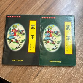 新星武侠系列 武王 上下