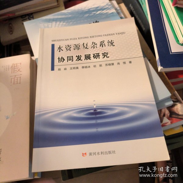 水资源复杂系统协同发展研究