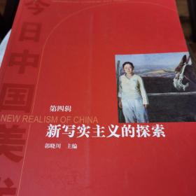 今日中国美术.第四辑.新写实主义的探索.A new realism of China