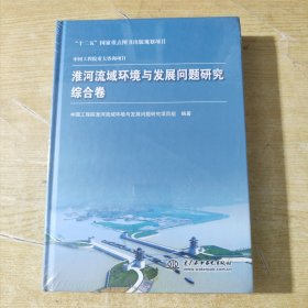 中国工程院重大咨询项目 淮河流域环境与发展问题研究 综合卷