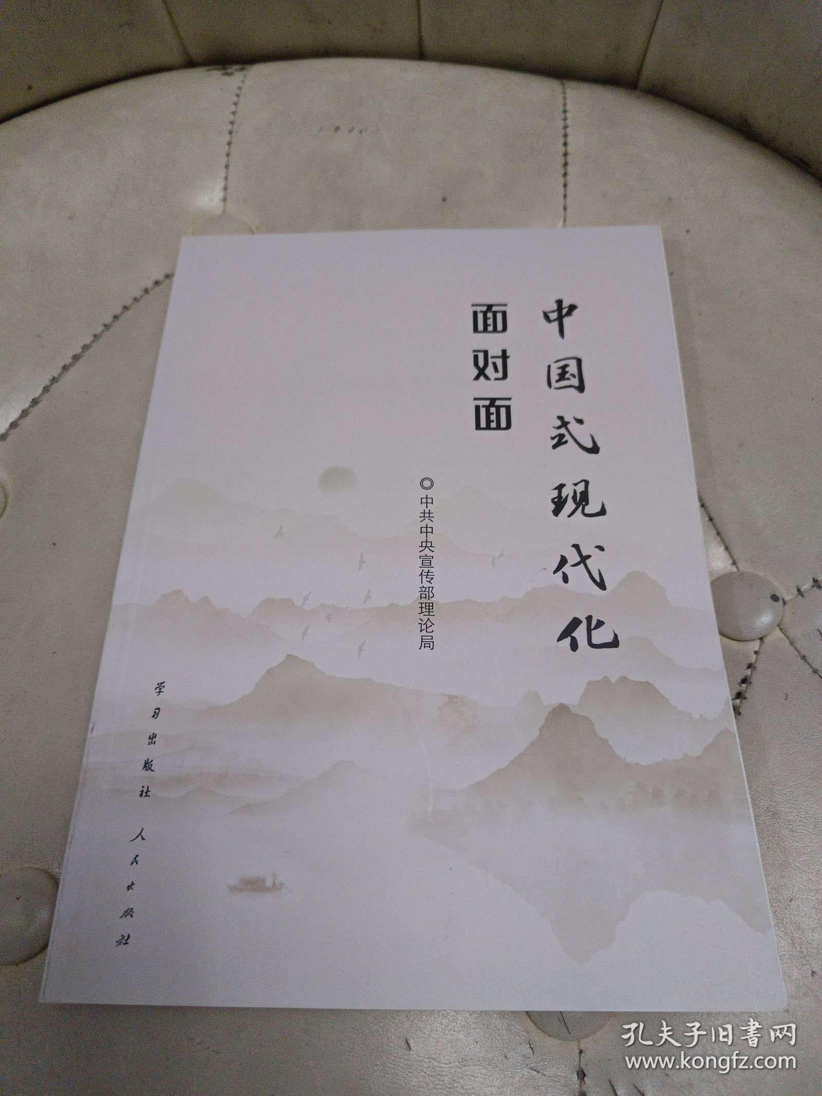 中国式现代化面对面——理论热点面对面