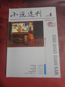 小说选刊 2013-6