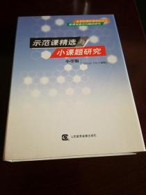 示范课精选与小课题研究（小学版）12vcd    10个学科