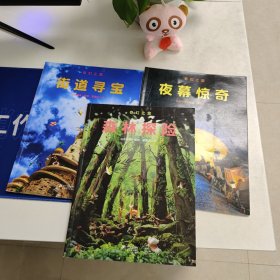 奇幻之旅系列 街道寻宝 森林探险  夜幕惊奇  3本合售