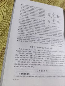 骨伤科生物力学