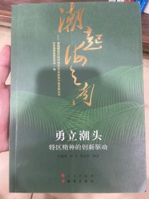 勇立潮头 特区精神的创新驱动