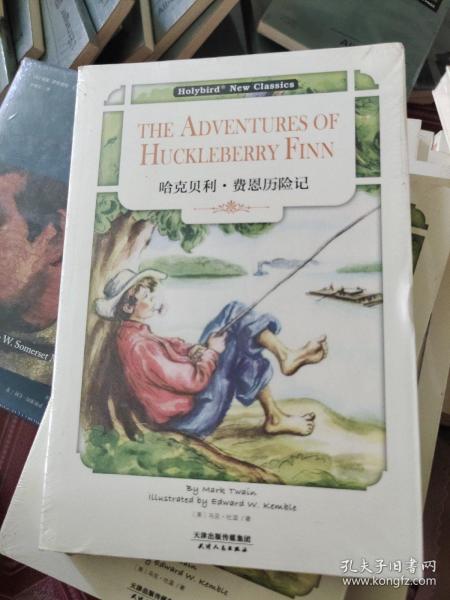 哈克贝利·费恩历险记：THE ADVENTURES OF HUCKLEBERRY FINN（英文