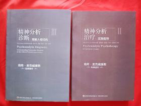 精神分析治疗：实践指导  精神分析诊断：理解人格结构1 2册（万千心理）