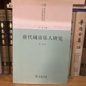 唐代城市乐人研究(唐宋城市社会空间与经济结构研究)