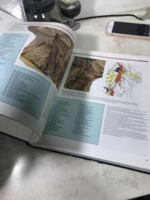 1984年COLOR ATLAS OF HUMAN ANATOMY 人体解剖彩色图集，伦敦大学解剖学教授联合主编，大16开357页精装