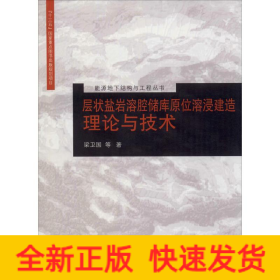 層狀鹽巖溶腔儲庫原位溶浸建造理論與技術(shù)