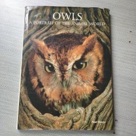 Owls: A Portrait of the Animal World