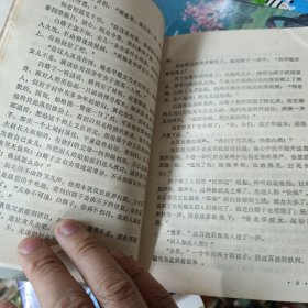 绿林俊杰 布衣元帅