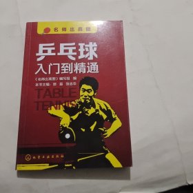 乒乓球入门到精通