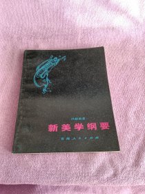 新美学纲要