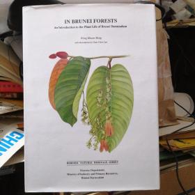 IN BRUNEI FORESTS                                  AN INTRODUCTION TO THE PLANT LIFE OF BRUNEI DARUSSALAM（文莱森林中文莱达鲁萨兰植物生活简介）