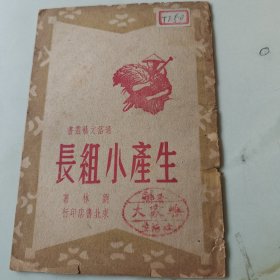 生产小组长 通俗文艺丛书
