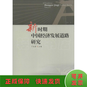 新时期中国经济发展道路研究