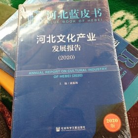 河北蓝皮书：河北文化产业发展报告（2020）