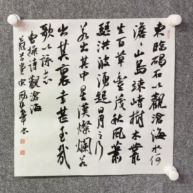 中书协宋风华《观沧海》，33x33cm，宋风华，1971年生，号长风堂主。齐鲁文化之星，德州市政协委员。中国书法家协会会员，德州市书协副主席，山东省临邑县书协主席。主要展览事迹：青州书法奖全国书法展全国行草书展(中国书法家协会主办)第三届扇面书法艺术展(中国书法家协会)孔子艺术奖全国书法展“邓石如奖"全国书法展(中国书法家协会)“齐白石"艺术节全国书法展(中国书法家协会)