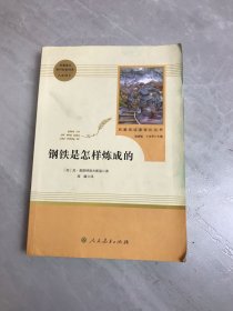 统编语文教材配套阅读 八年级下：钢铁是怎样炼成的/名著阅读课程化丛书